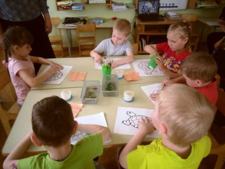 Черепахи разные…