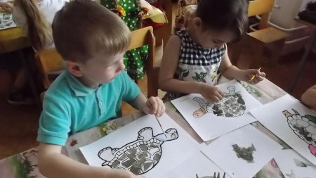 Черепахи разные…