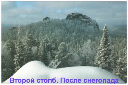 Новые музейные поступления