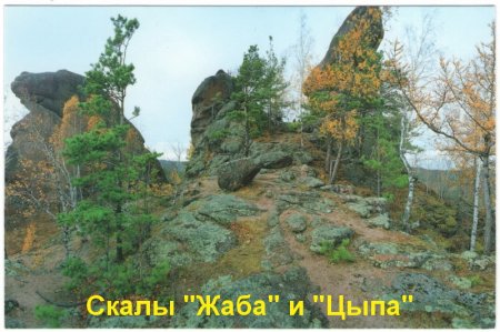 Новые музейные поступления