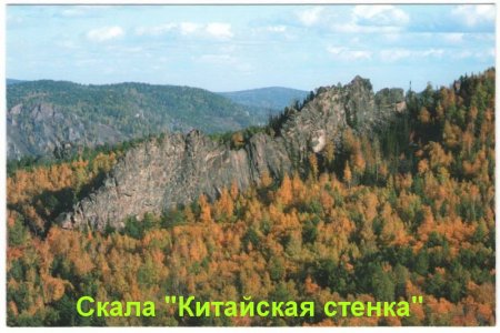 Новые музейные поступления