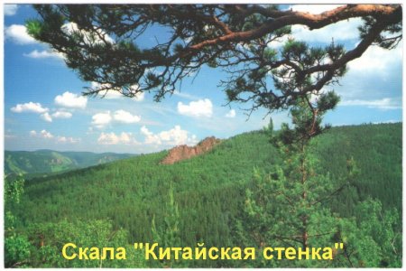 Новые музейные поступления
