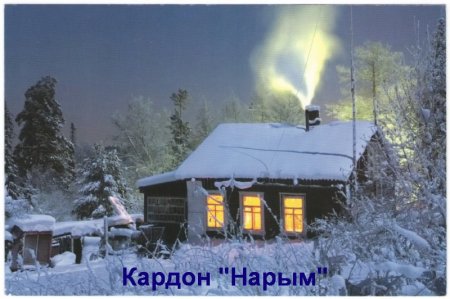 Новые музейные поступления