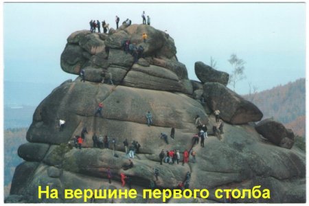 Новые музейные поступления