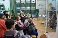 «Непоседы» с «Маргаритками»