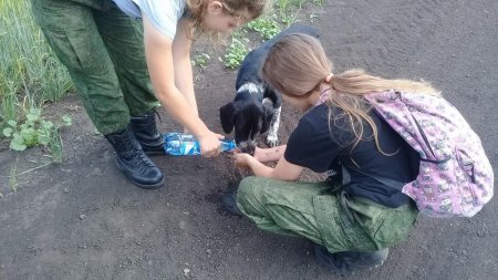 Иван Купала