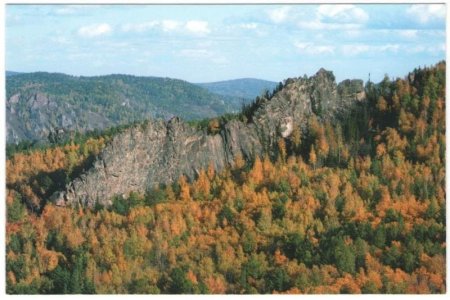 Виртуальная выставка Виртуальная выставка