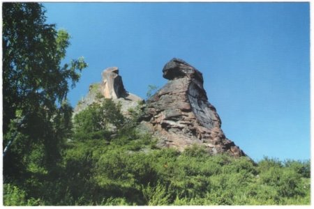 Виртуальная выставка Виртуальная выставка