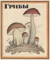Букварь на службе ликбеза