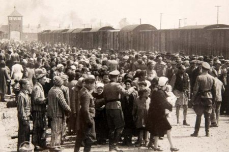 Международный день памяти жертв Холокоста. Международный день памяти жертв Холокоста.