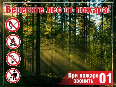 Сохраним лес от пожаров